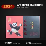 2024 · Панда Синьвэнь · фото 1